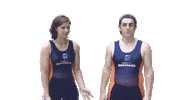 Rowing Sticker by Ontario Tech Ridgebacks