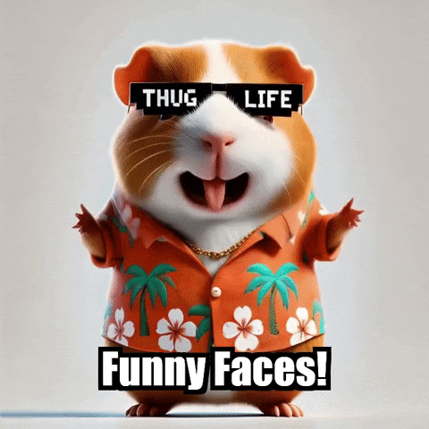 Faces Expressions GIF by Guinea Gambino