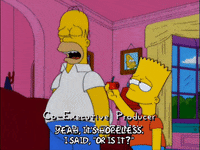 homer simpson episode 3 GIF