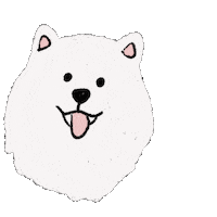 Pomeranian Mantou Sticker