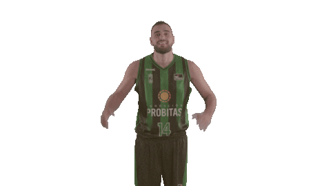 Liga Endesa Basketball Sticker by ACB