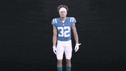 Dance Dancing GIF by Indianapolis Colts