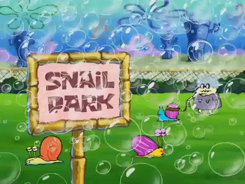 season 7 one coarse meal GIF by SpongeBob SquarePants