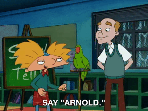 hey arnold nicksplat GIF