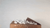 Break Out Surprise GIF by Fluffy Friends