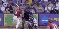 college baseball sport GIF by NCAA Championships