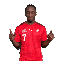 Switzerland Swipe Up Sticker by Swiss Football Association