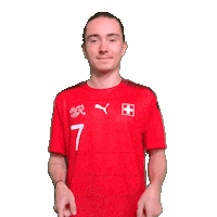 Switzerland Swipe Up Sticker by Swiss Football Association