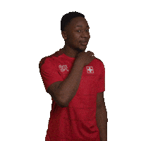 Switzerland Suisse Sticker by Swiss Football Association