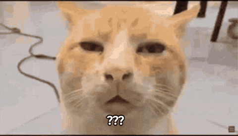 Question Mark What GIF