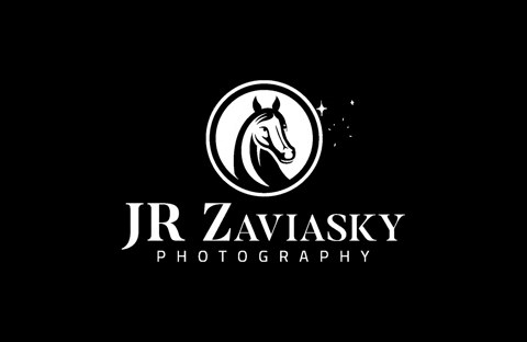 zaviasky giphygifmaker giphyattribution horse portraits GIF