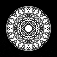 Black And White Loop GIF by xponentialdesign