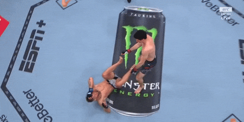 giphy.gif