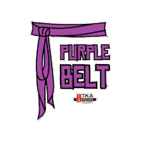 Martial Arts Artes Marciais Sticker by TKA Kung Fu