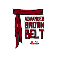 Martial Arts Artes Marciais Sticker by TKA Kung Fu