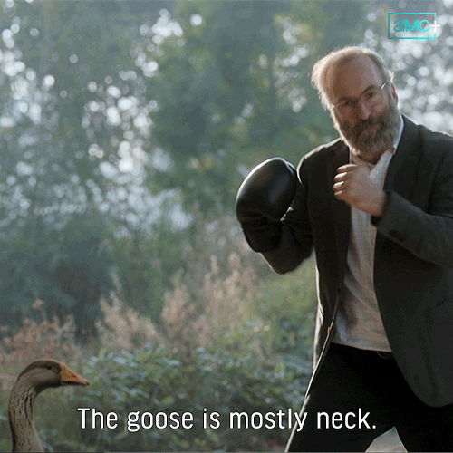 Bob Odenkirk Comedy GIF by AMC Networks