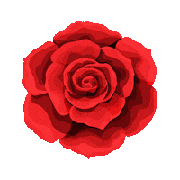Flower Queen Sticker by Dolly Parton