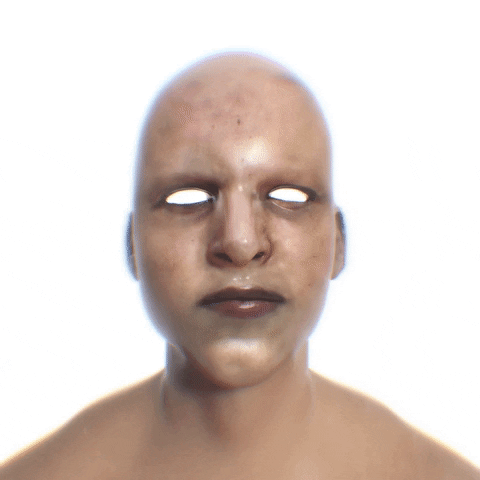 SDRNSDRN art fashion glitch 3d GIF