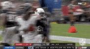 2019 Nfl Football GIF by NFL