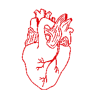 vvvioleta heart corazon rojo redheart Sticker
