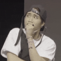 Stray Kids Skz GIF