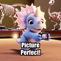 Picture Perfect Travel GIF by Divineasaur