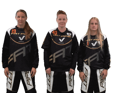 Sport Floorball Sticker by F-liiga