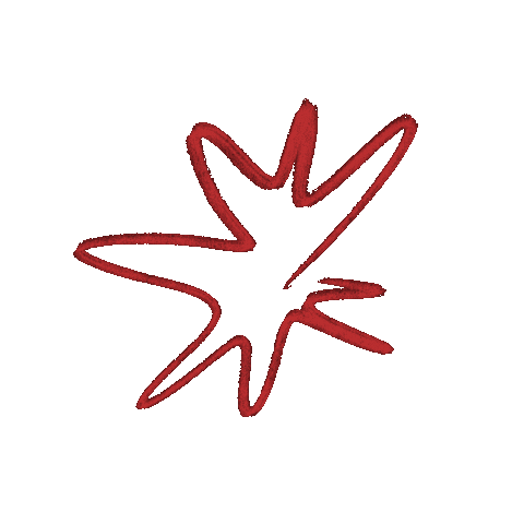 littlemoonshowcase space star csillag holdmuhely Sticker