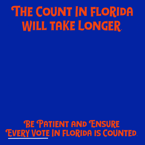 Election Day Florida GIF by Creative Courage