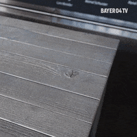 Bayer 04 Soccer GIF by Bayer 04 Leverkusen