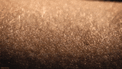brain satisfying GIF