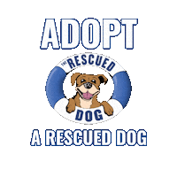 Trd Adoptadog Sticker by The Rescued Dog