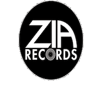 Vinyl Record Store Sticker by Zia Records