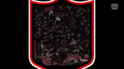 Ticket Werkself GIF by Bayer 04 Leverkusen