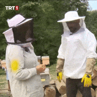 Shake Hands Hello GIF by TRT