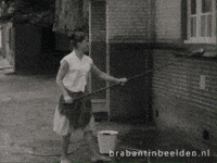 Brabant Wassen GIF by BrabantinBeelden