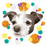 Pet Portrait Sticker
