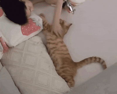 swanjun30 giphyupload GIF