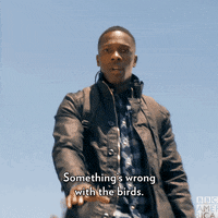 Doctor Who Television GIF by BBC America