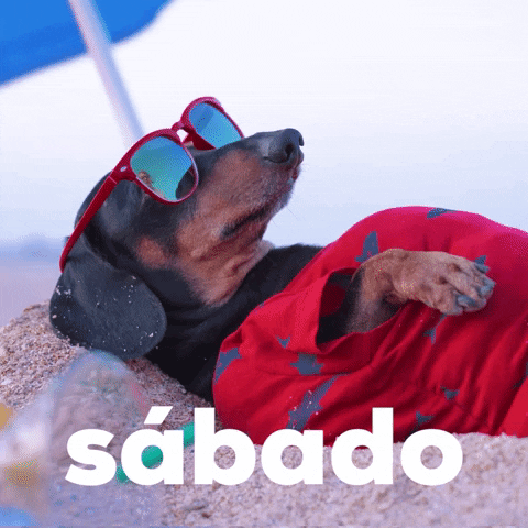 Es Sabado GIF by Sealed With A GIF