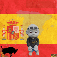 Spain Esp GIF by Zhot