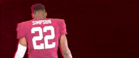 Football Roll Pards GIF by Lafayette Leopards