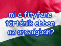 Orban Mi A Fene GIF by Keddi Kosár
