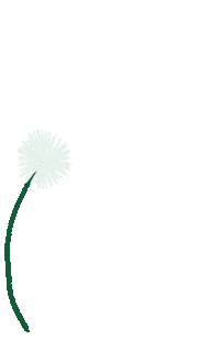 Flower Spring Sticker