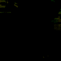 koala GIF
