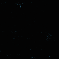 Vote Voting GIF by Creative Courage