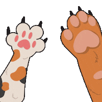 Cat Love Sticker by JAGO COFFEE