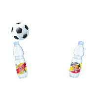 Botol Air Minum Sticker by Le Minerale