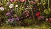 Fun Serve GIF by HENDRICK'S GIN