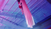 conwaychamber conway conwayarkansas conwaychamber conwayam GIF